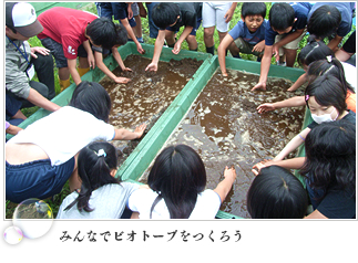みんなでビオトープをつくろう