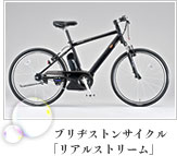 ブリヂストンサイクル「リアルストリーム」写真