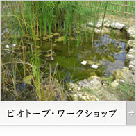 ビオトープ・ワークショップ